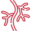 Παθήσεις Αορτής Ιωάννινα